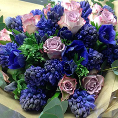 Frangrances and Scents