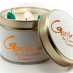 Gardenia