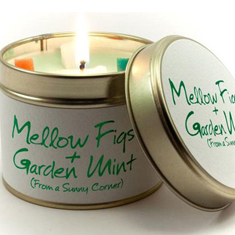Mellow Figs &amp; Garden Mint