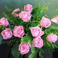Pale Pink Passion