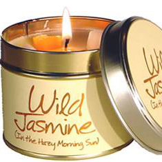 Wild Jasmine